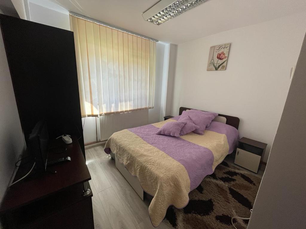 Apartament Mioritza 2A Horezu Zewnętrze zdjęcie